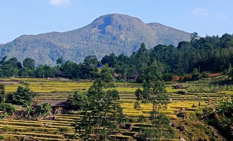 Ly Son Island, Ly Son Vietnam