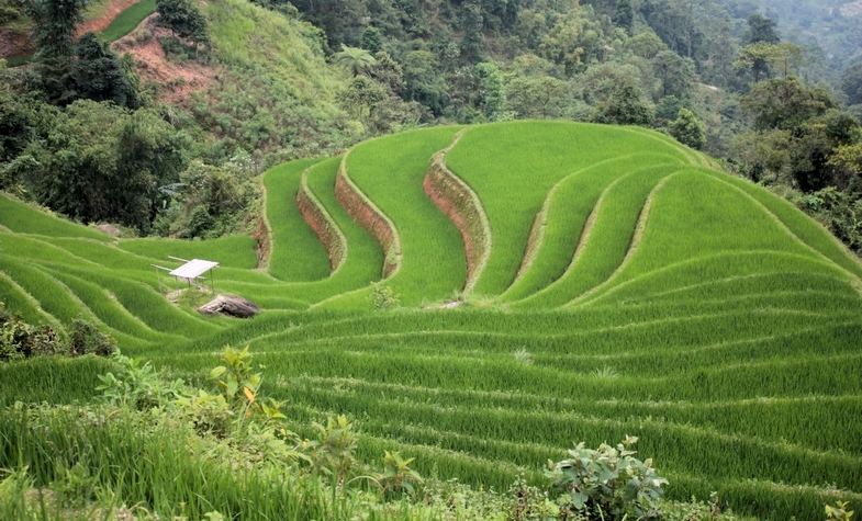 Ultimate Guide to the Ha Giang Motorbike Tour