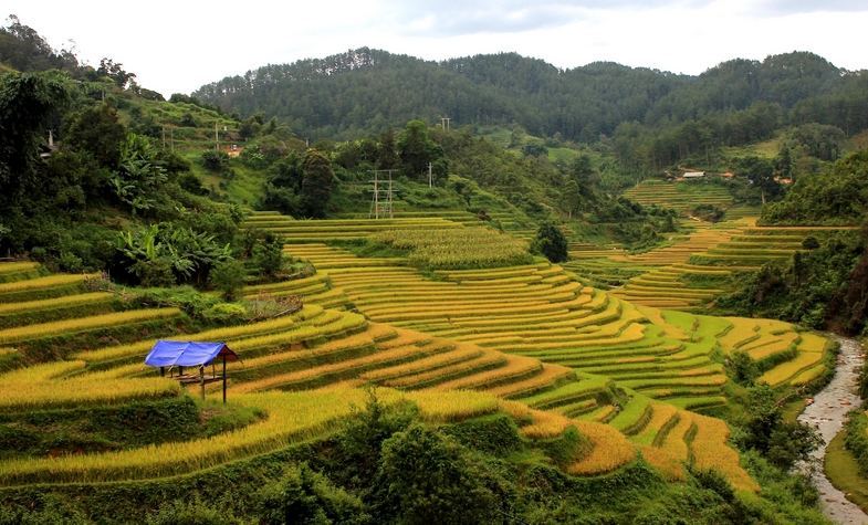 Mu Cang Chai Tour activities