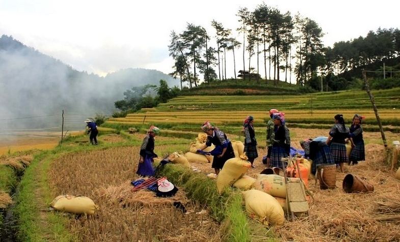 on the way to Mu Cang Chai