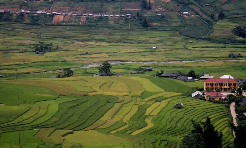 Mu Cang Chai Tour: A journey into Vietnam