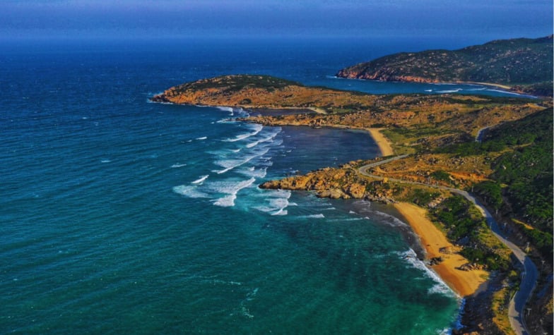 Ninh Chu Beach: A Haven for Fresh Seafood