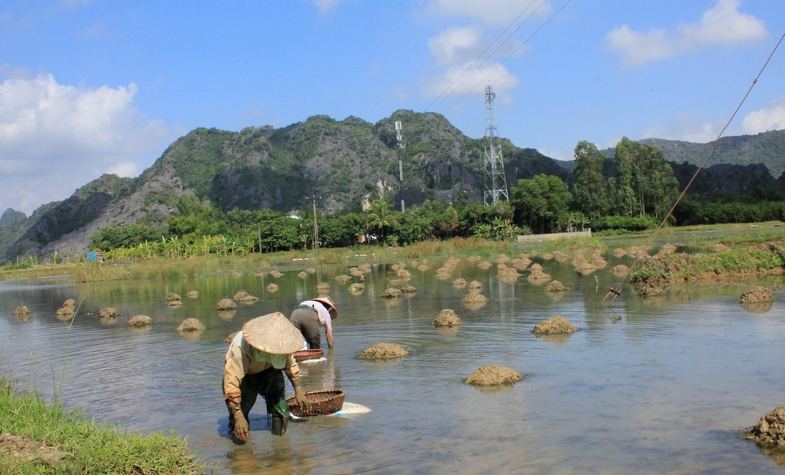 What is the best way to travel from Hanoi to Ninh Binh