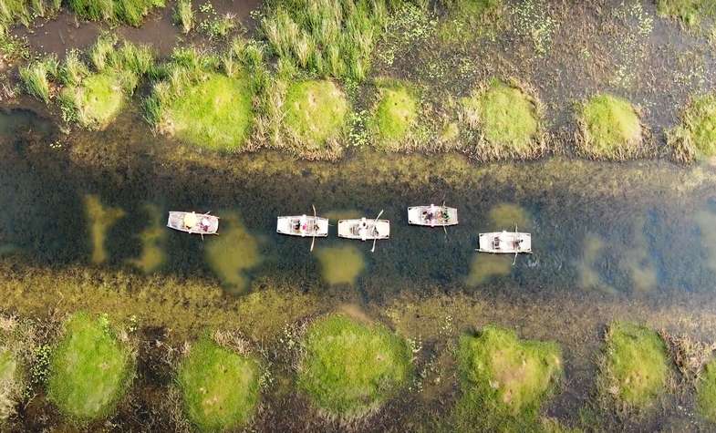 boat racing in spring festival in Ninh Binh, a destinaiton you can visit on your day trip from Hanoi