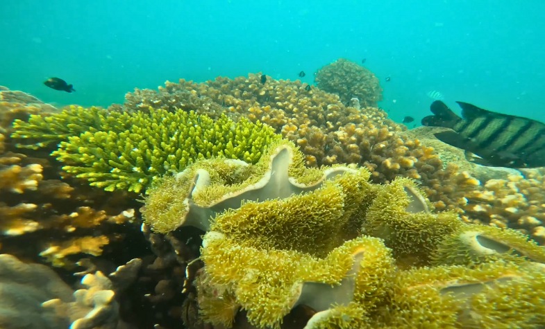 Phu Quoc weather: best diving in dry season