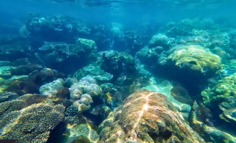 Ideal diving season in Phu Quoc