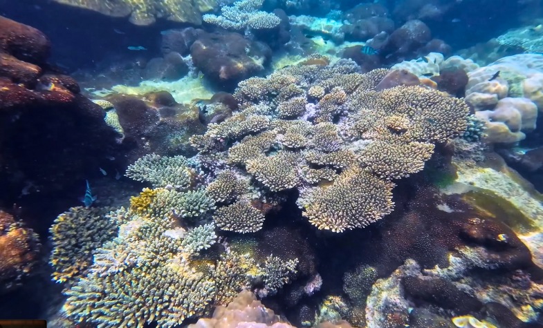 An Thoi southern diving spots