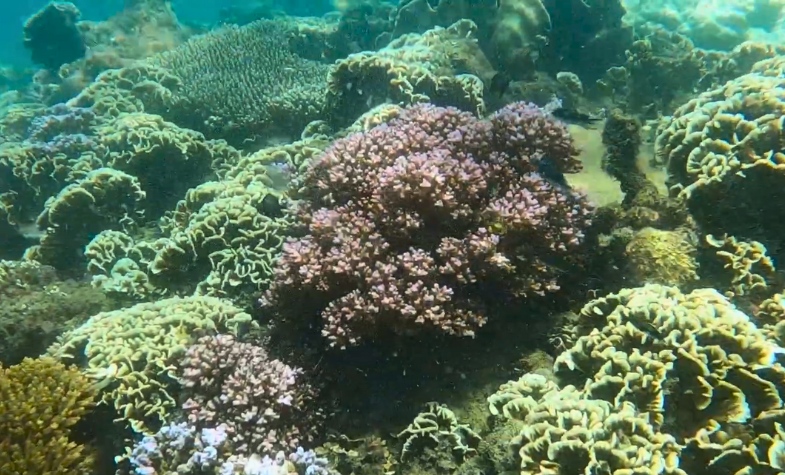 Top scuba diving spots in Phu Quoc