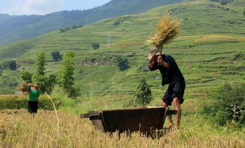 Sapa weather in Autumn