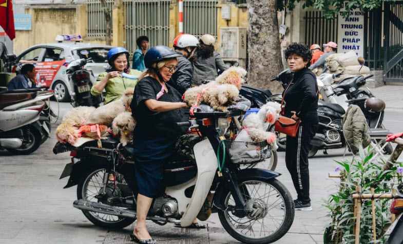 Rent motorbike in Vietnam