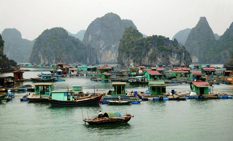 Halong Bay floating villages - Viet Hai Floating Village