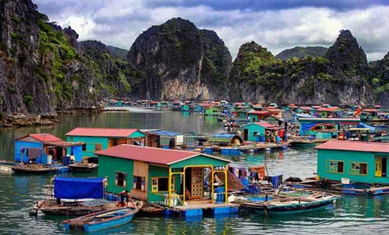 Halong Bay floating villages - Vung Vieng Floating  Village