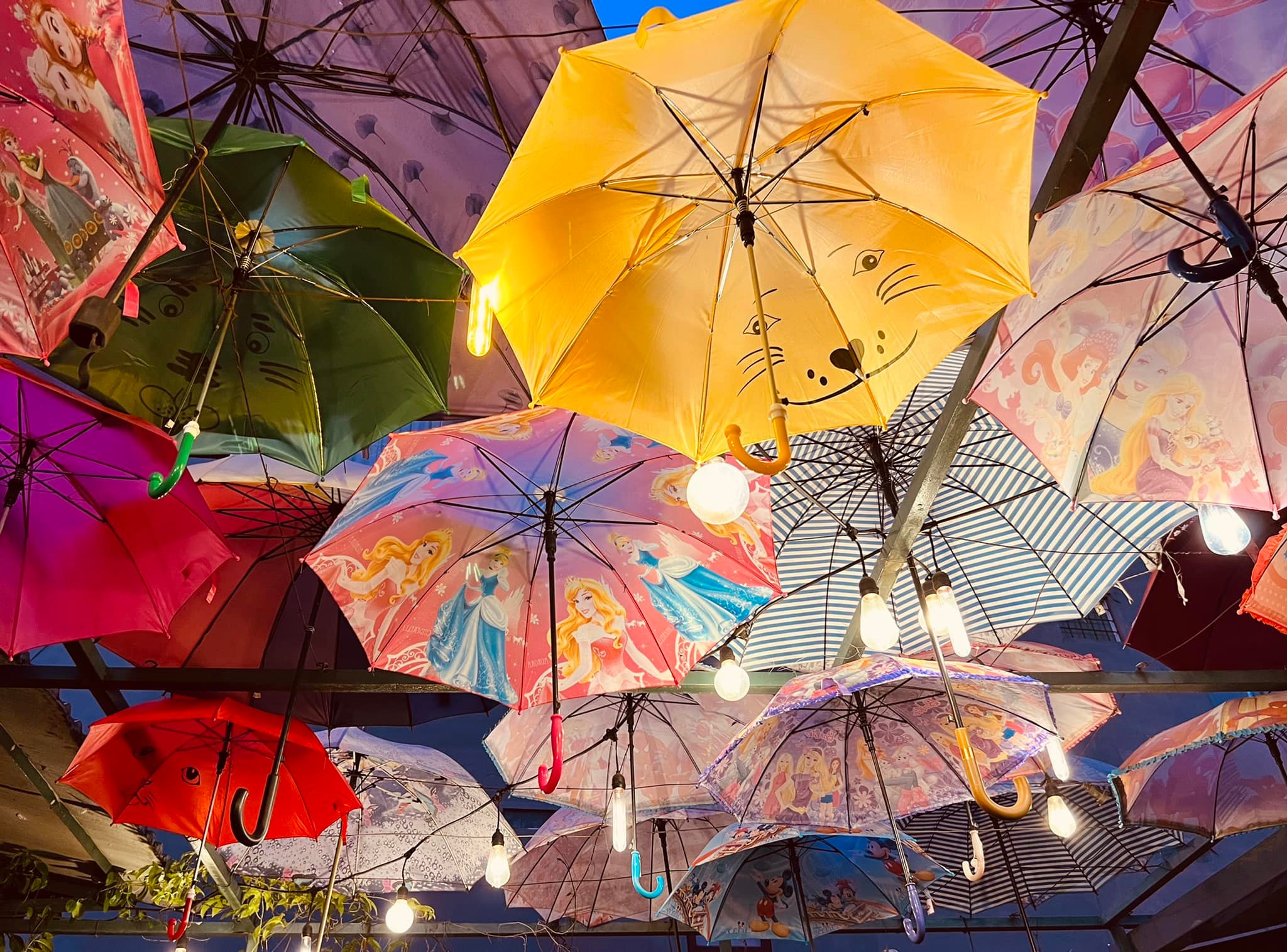 Nola Cafe hanging umbrella