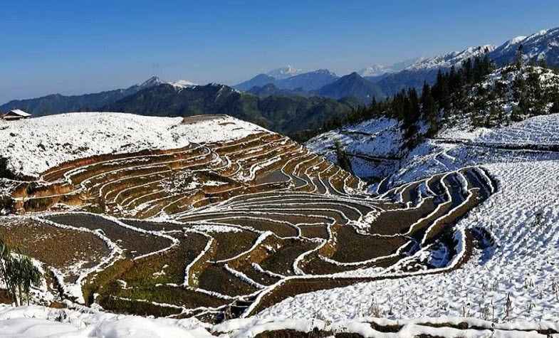 Sapa weather in Winter